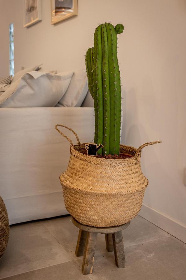 Mogán Flatguest Orinoco + Pool + Terrace + Gardenヴィラ エクステリア 写真